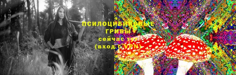 Галлюциногенные грибы MAGIC MUSHROOMS  Зеленодольск 